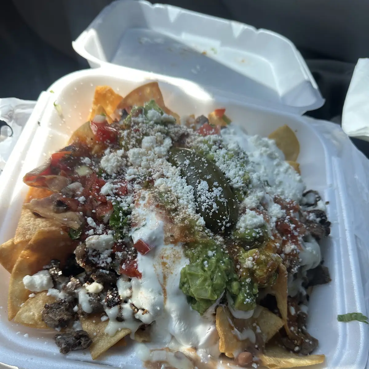 Carne Asada with Everything
