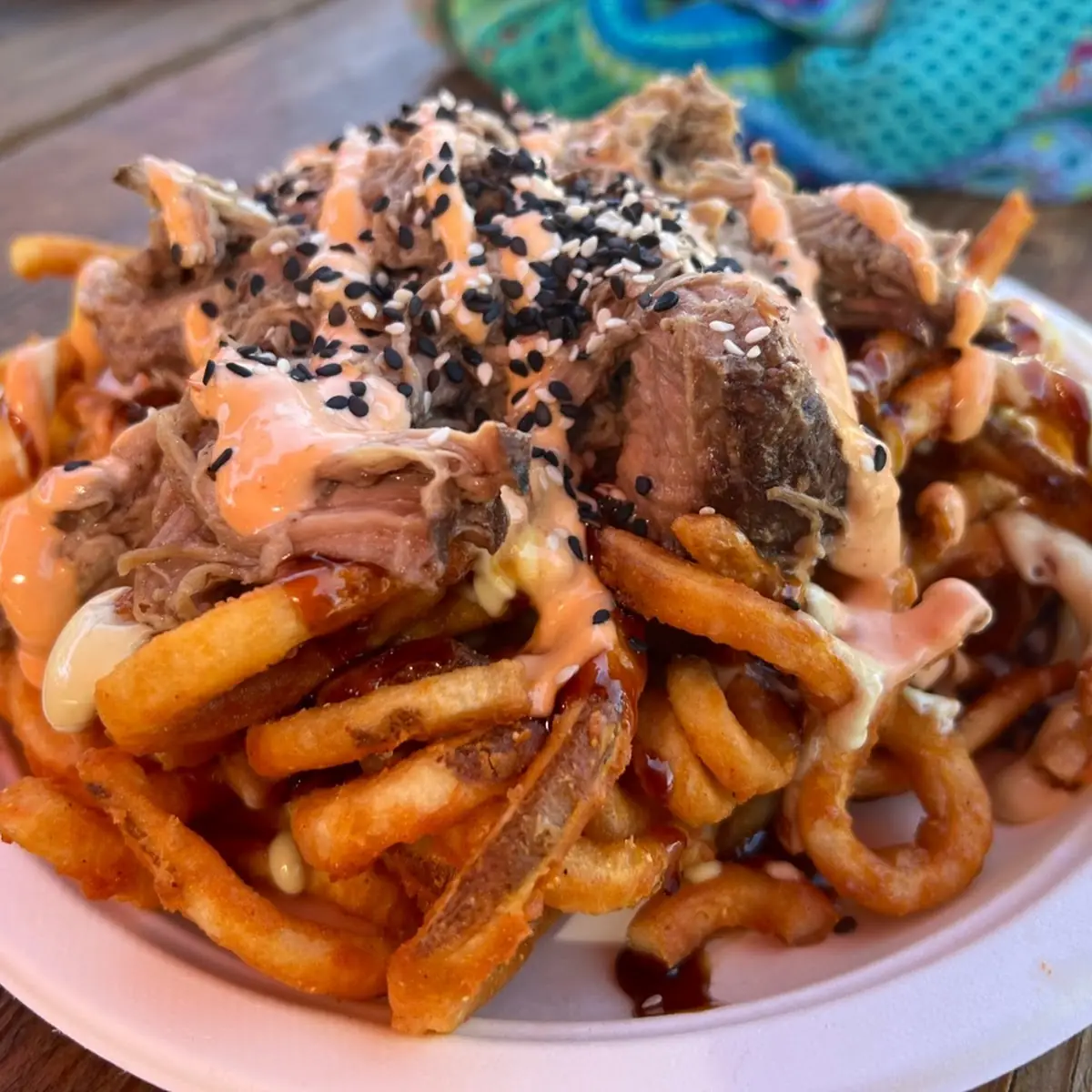 Fries with Pulled Pork