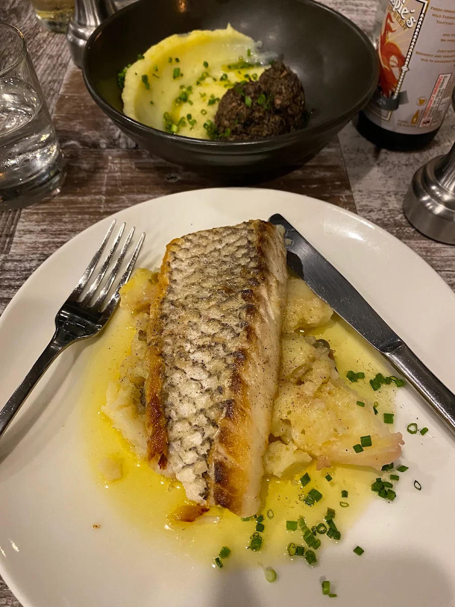 Fish of the Day