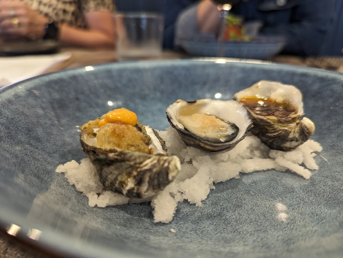 Oysters