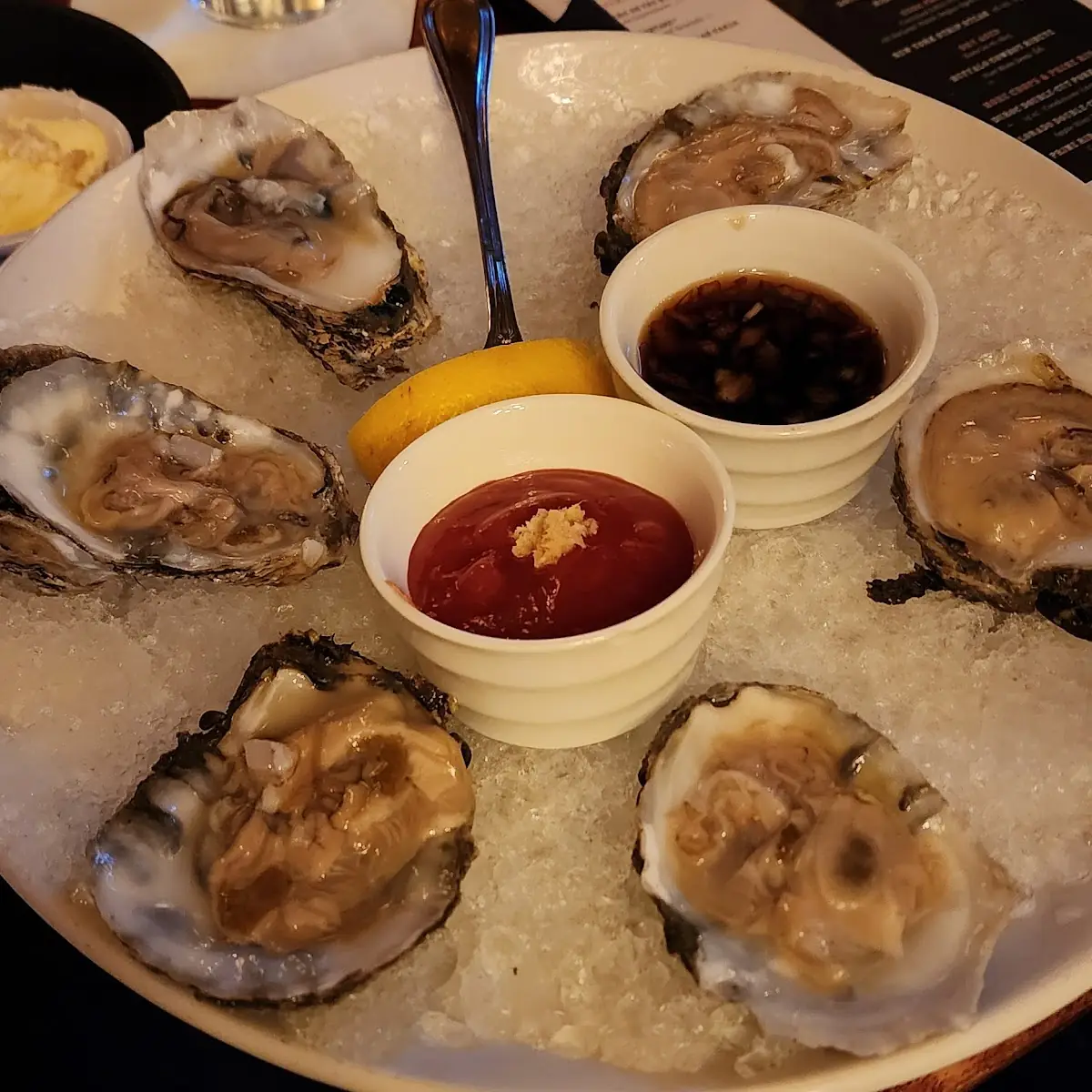 Oysters