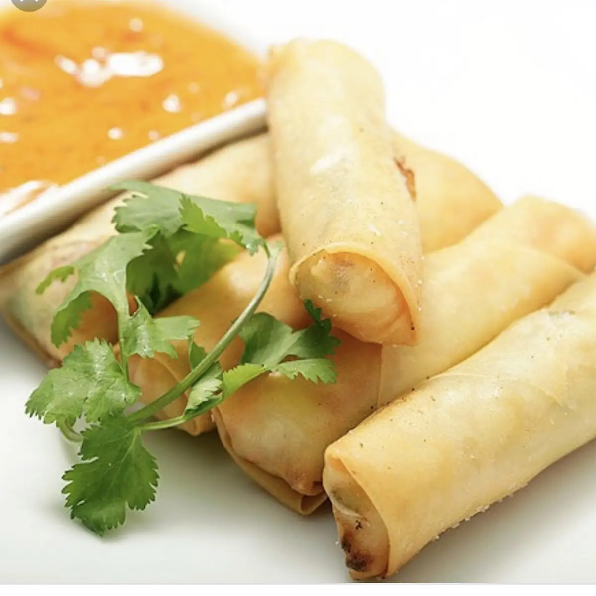 Vegetable Spring Roll 2