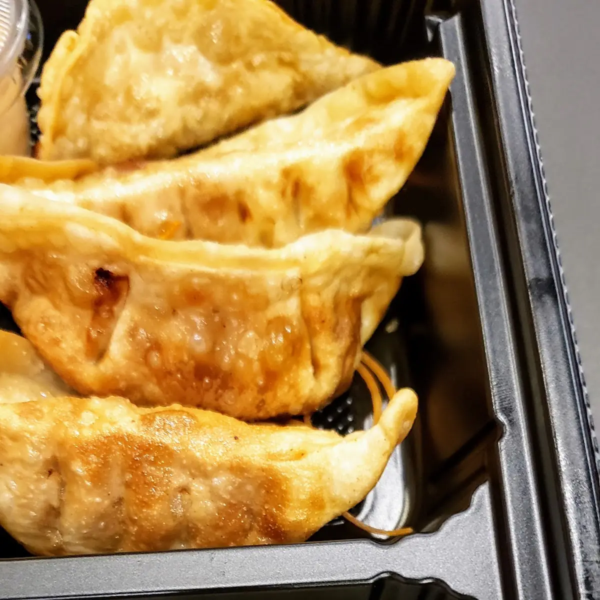 Fried Dumplings and California Roll
