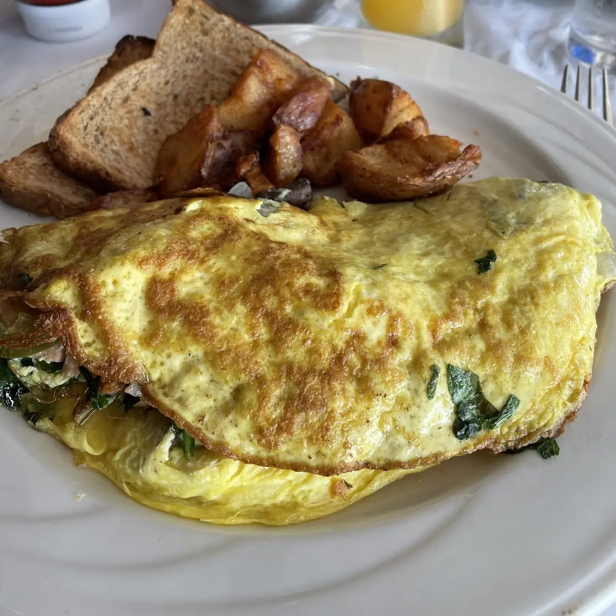 Pastrami Corned Beef Hash Omelette