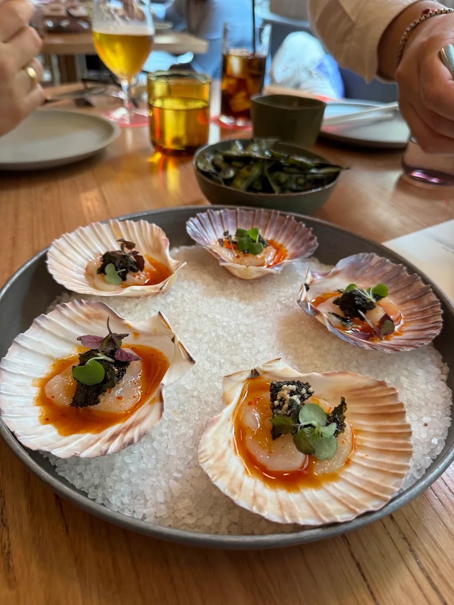 Abrolhos Scallops, King Clarence