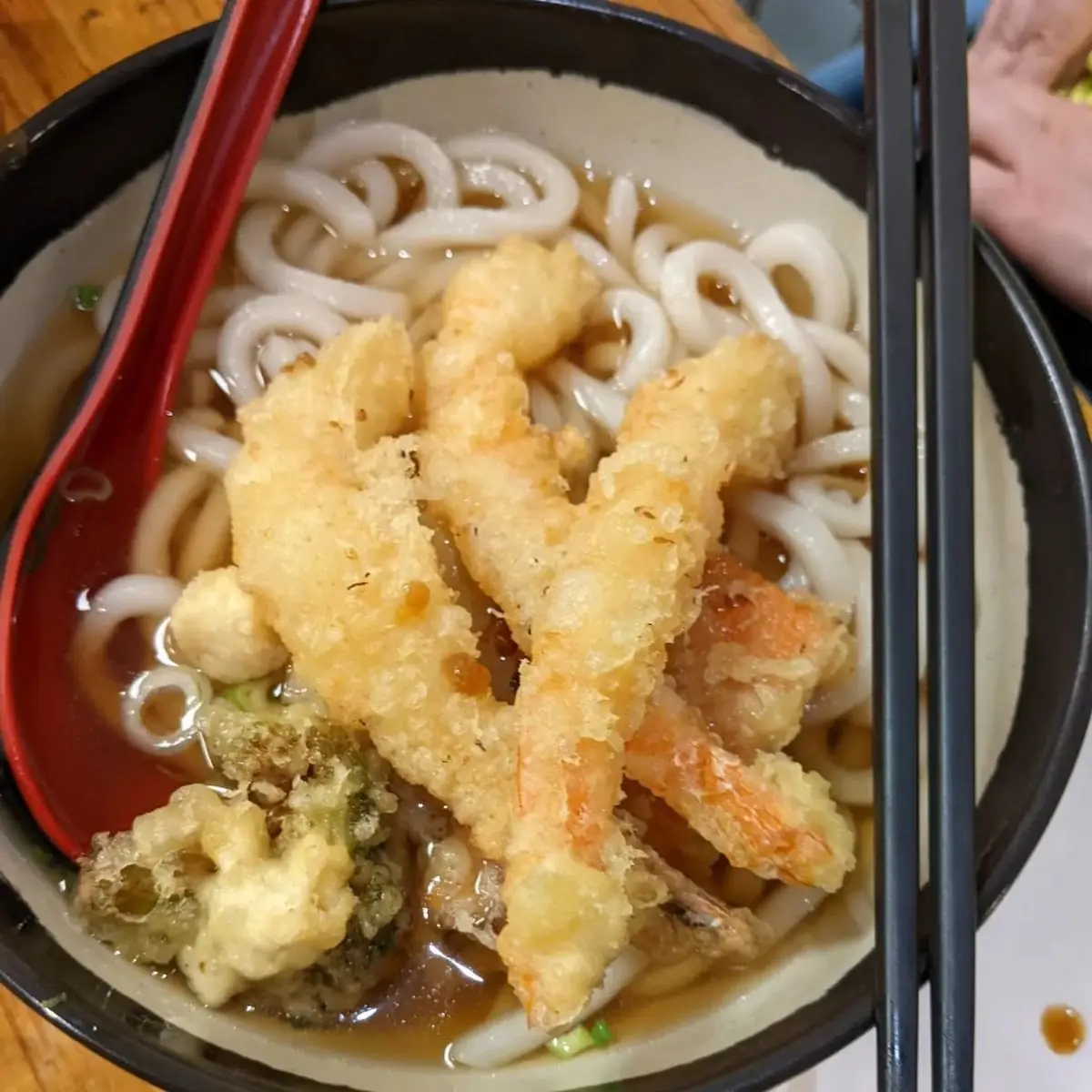 Shrimp Tempura Udon and Tofu