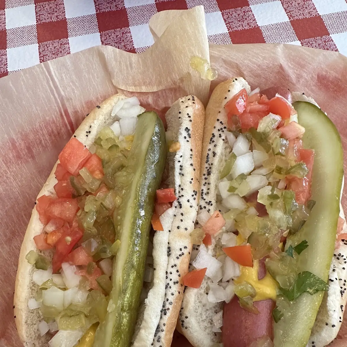 Chicago Style Hot Dog