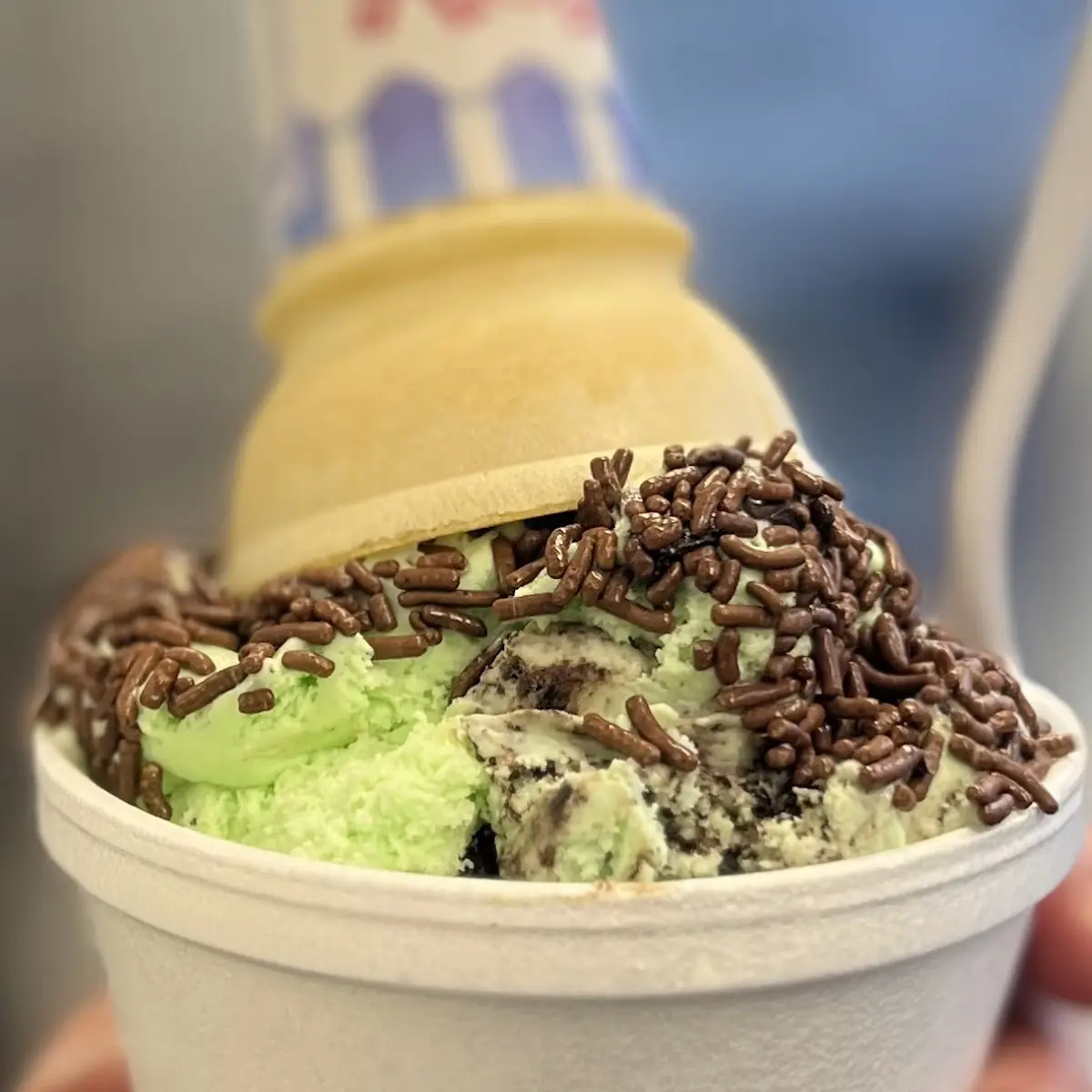 Mint Chocolate Chip