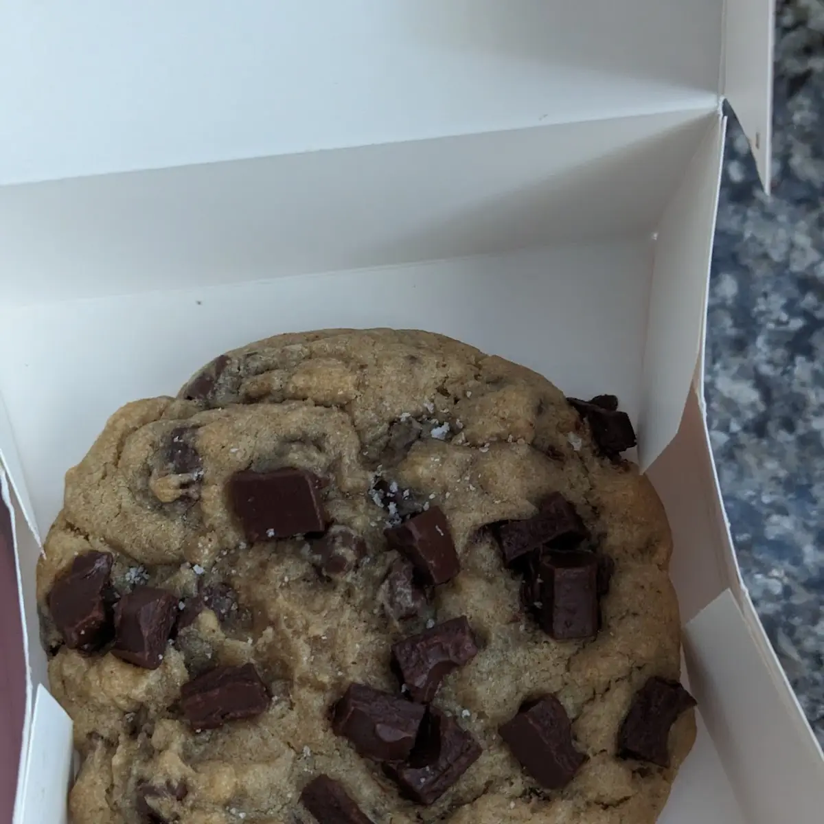 Chocolate Cookie