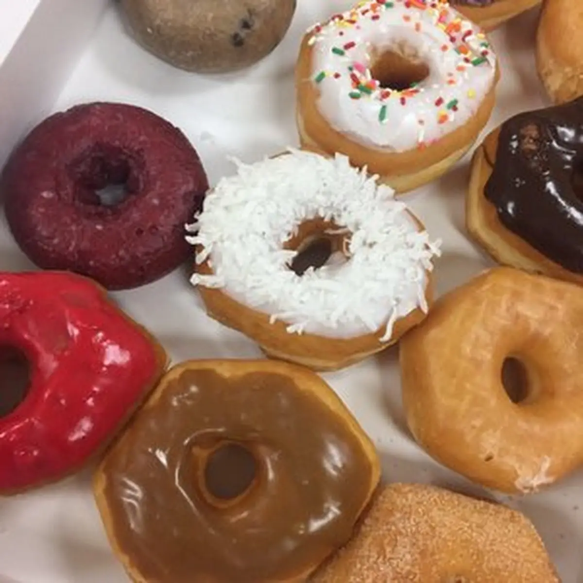 Doughnut