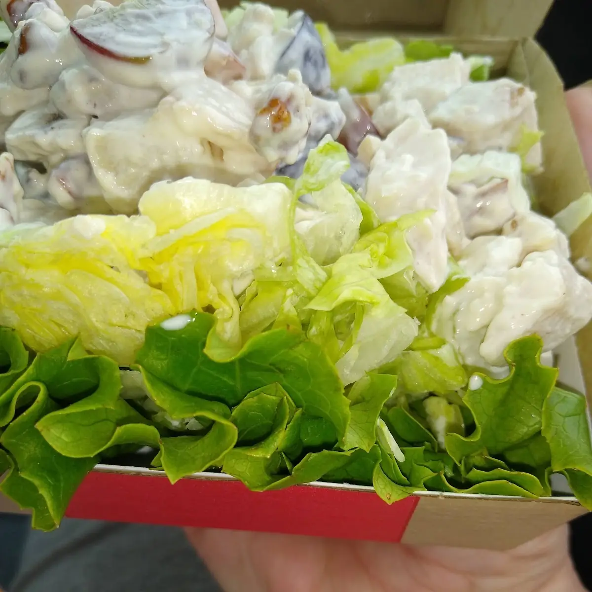 Apple Walnut Chicken Salad Sandwich