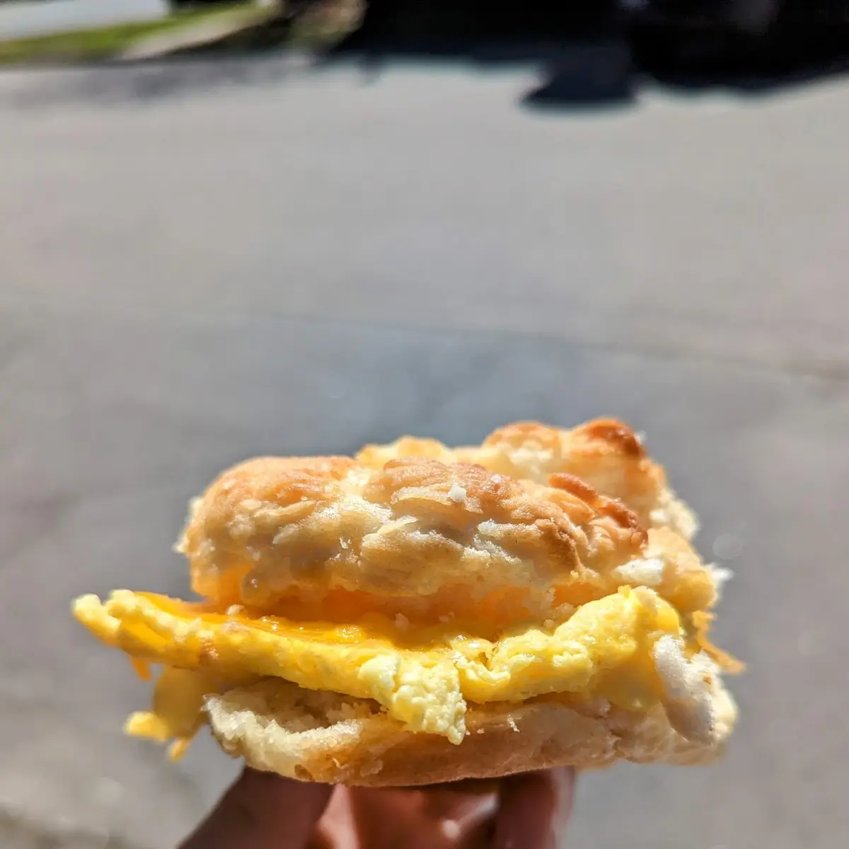 Chicken Biscuit & Cheddar Cheese