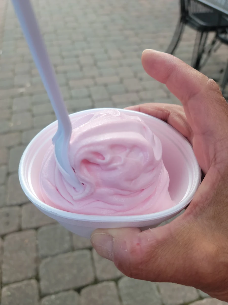 Fat Free Sugar Free Strawberry