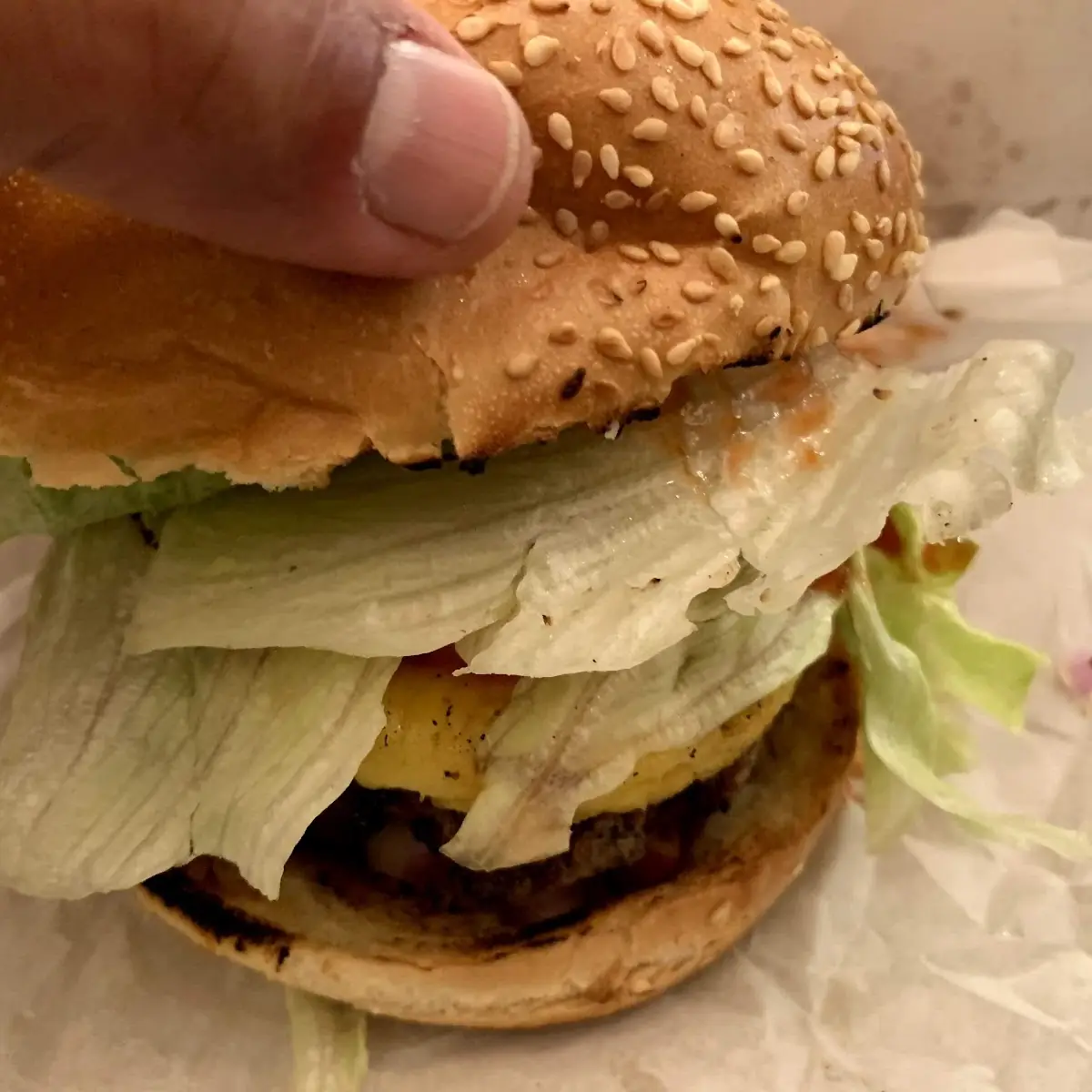 Double Hamburger