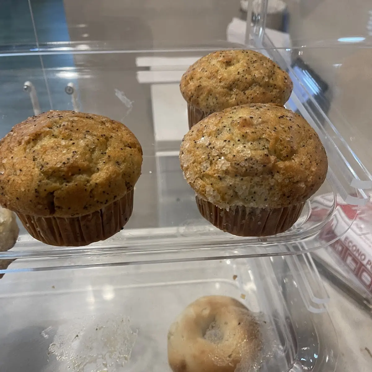 Blueberry Muffin
