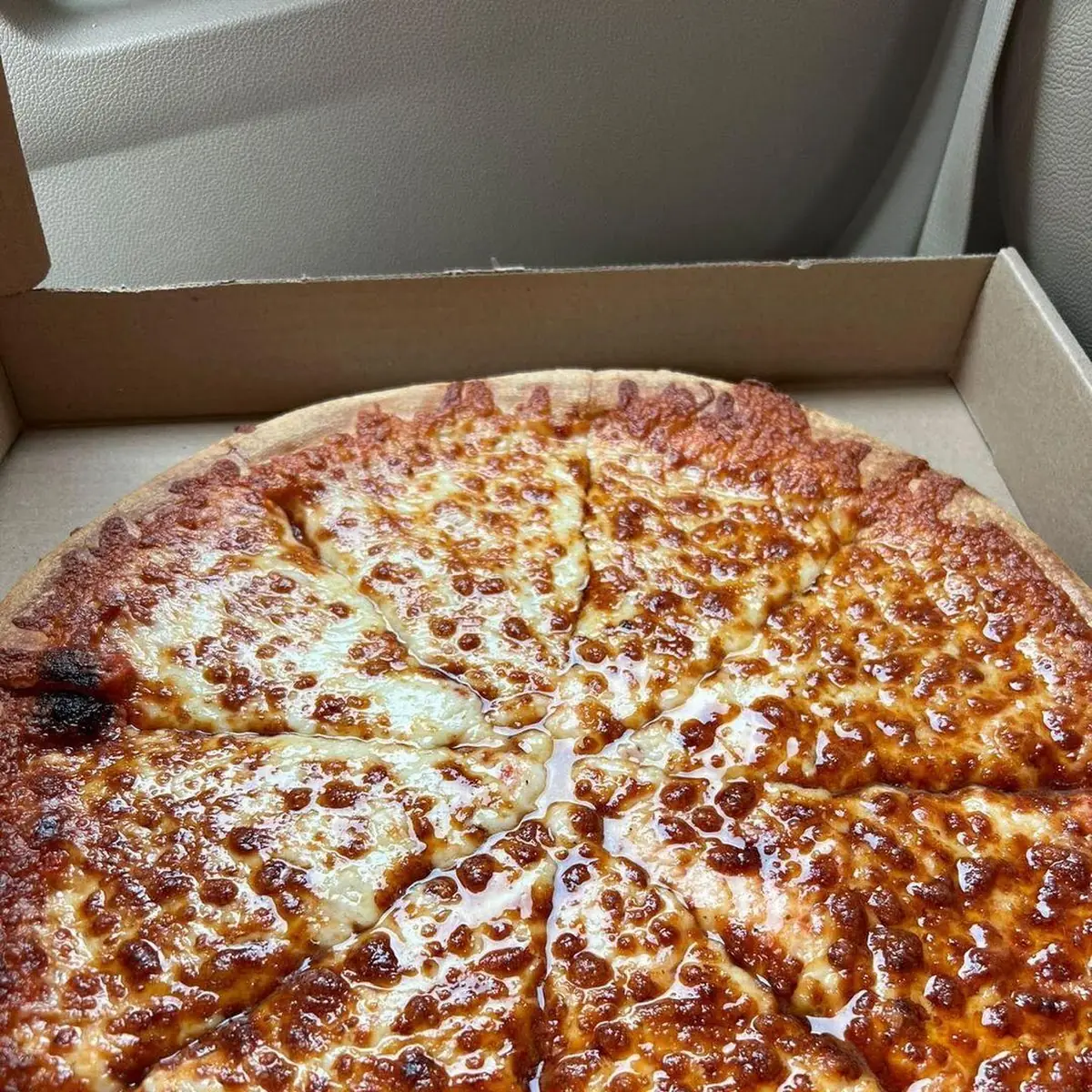 Cheese Pizza Well Done
