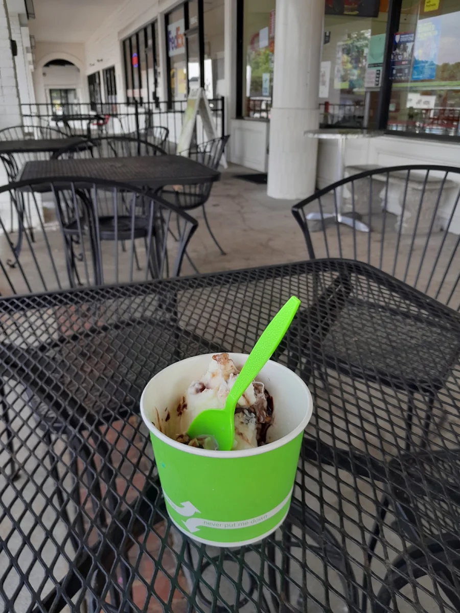 Frozen Yogurt
