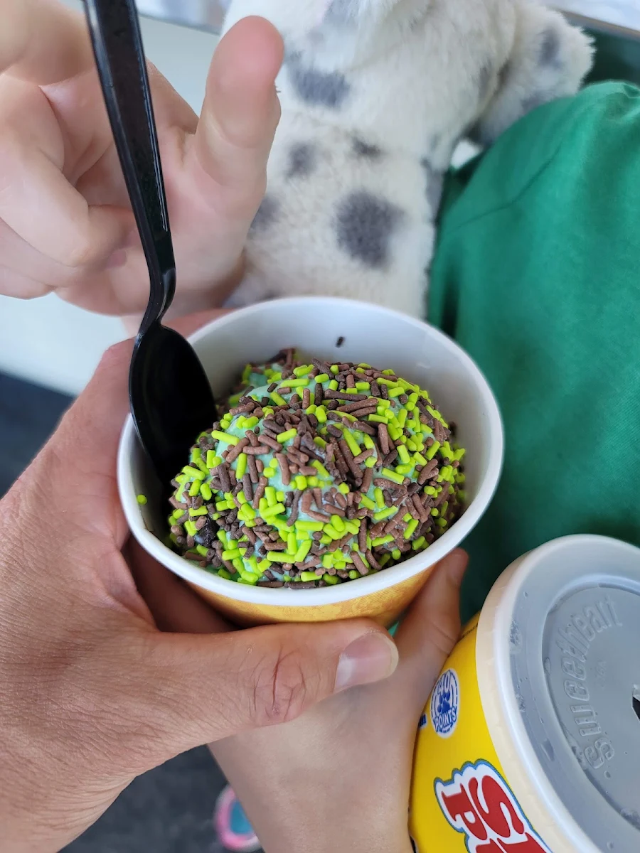 Mint Chocolate Chip