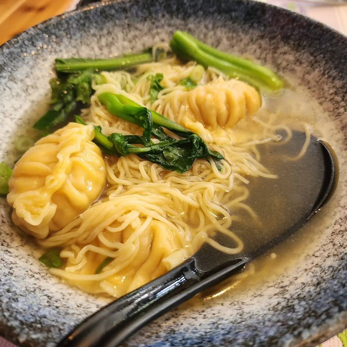 Wonton and Egg Noodle