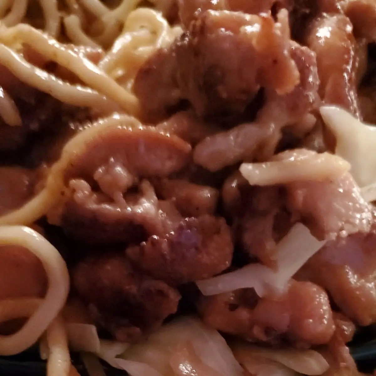 Some Sort of Teriyaki with Noodles