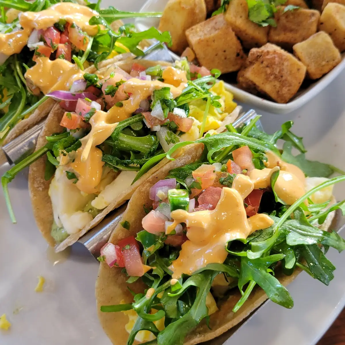 Halloumi Breakfast Tacos