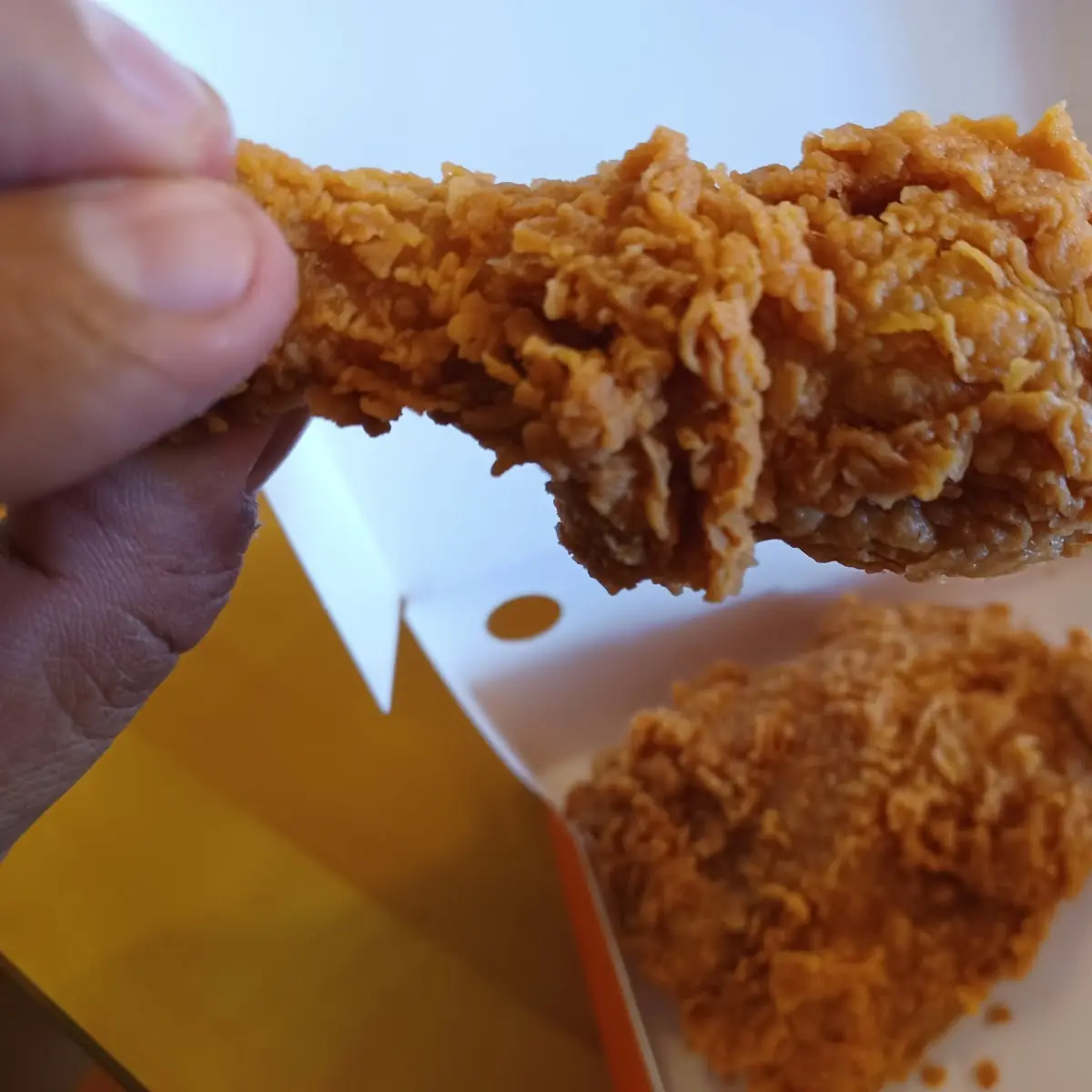Fried Chicken Leg