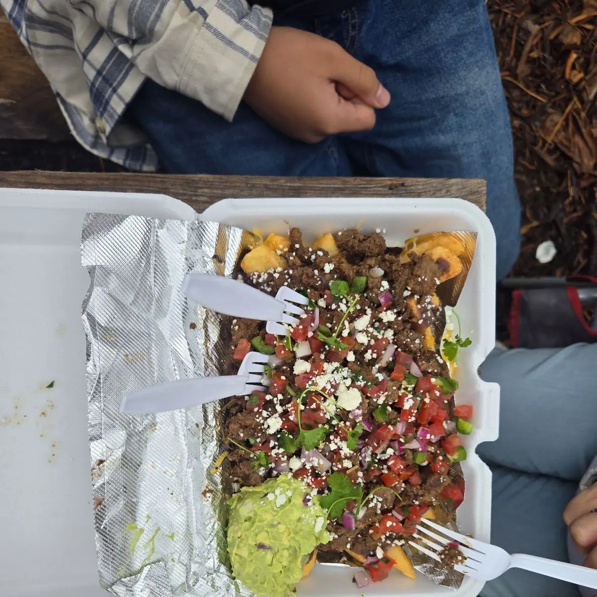 Papi Fries Con Carne Asada
