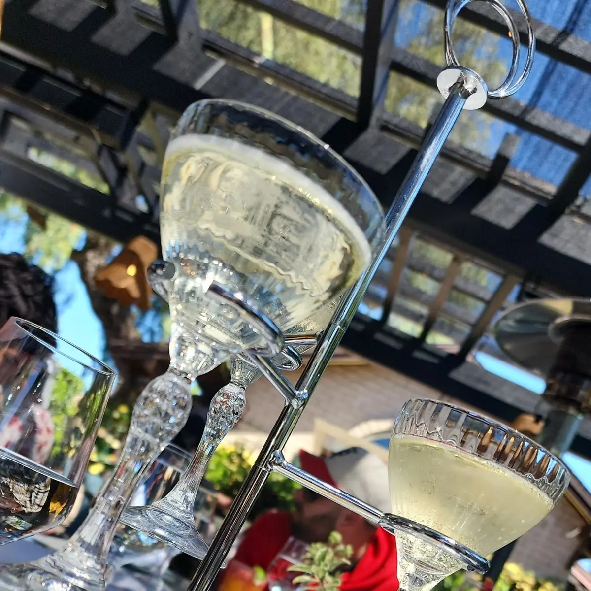 Mimosa Flight
