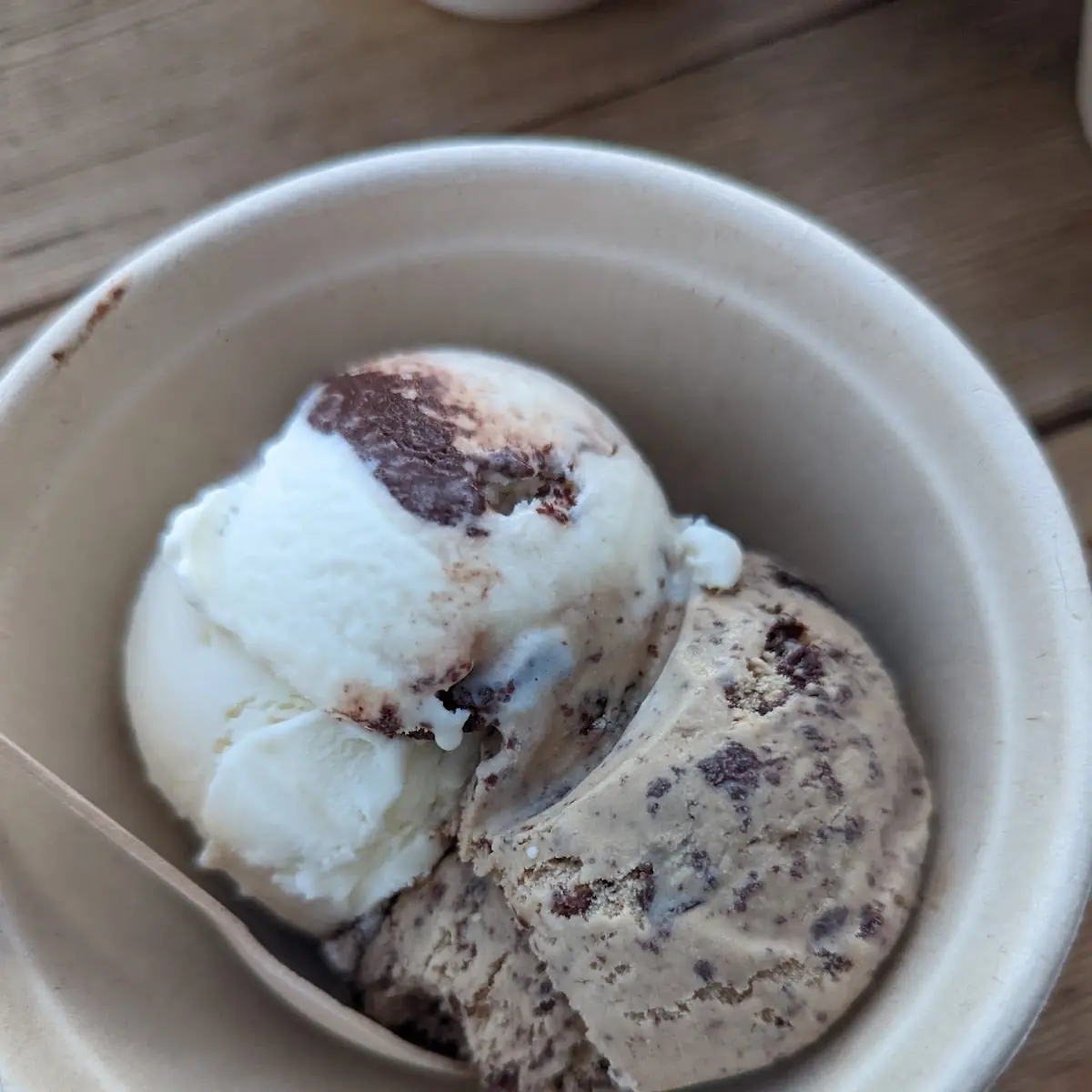 Chocolate Chip-Vanilla