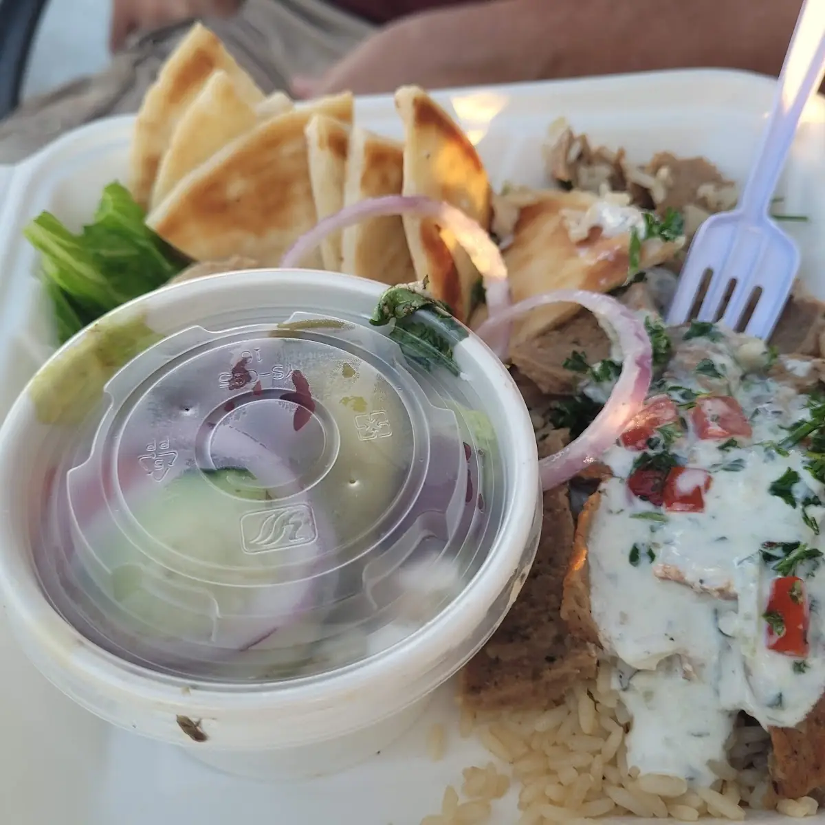 Gyro Plate