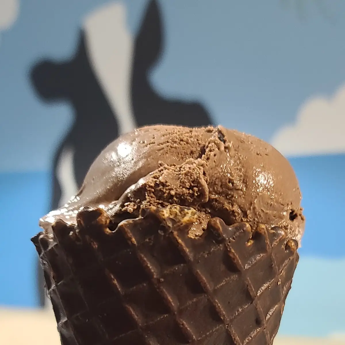 Chocolate Ice-Cream