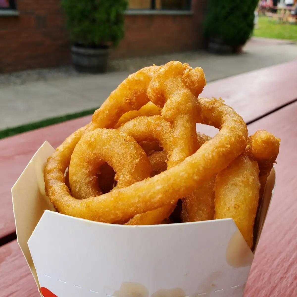 Onion Rings