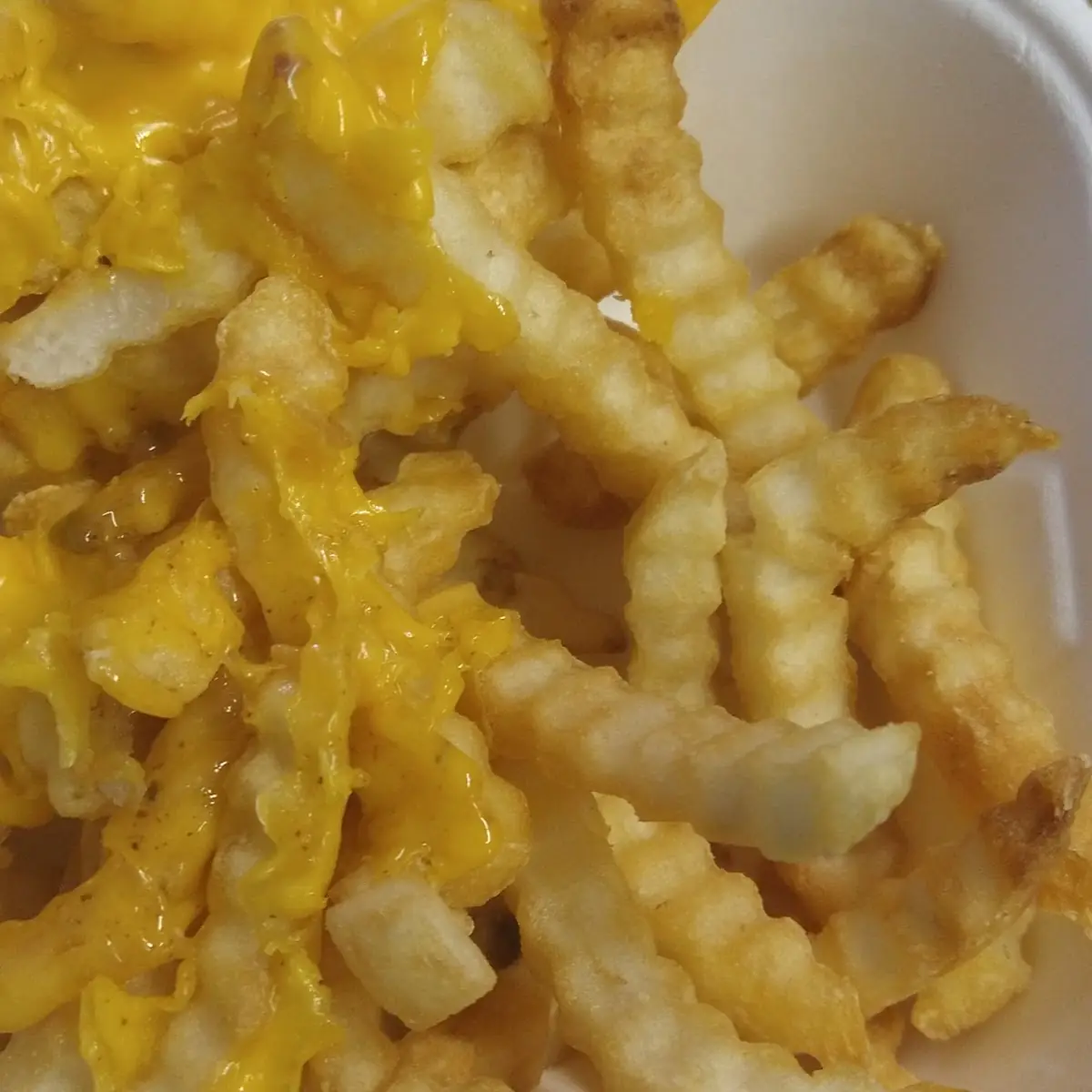 Cheese Fries