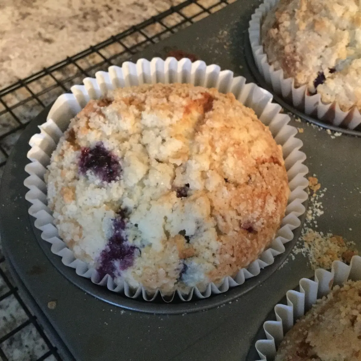 Blueberry Muffin