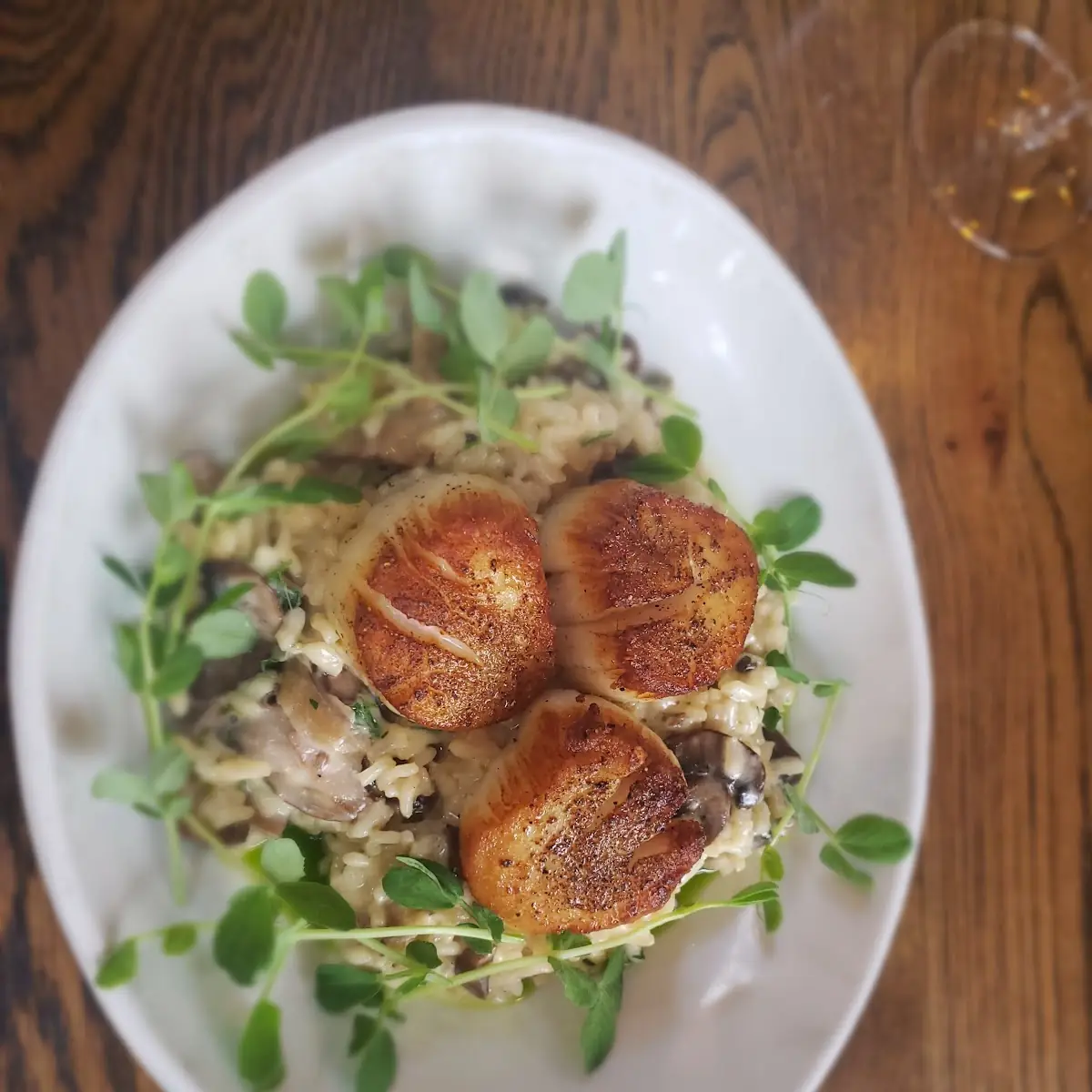 Seared Sea Scallops