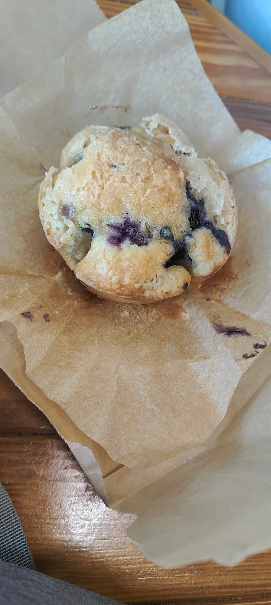 Blueberry Muffin