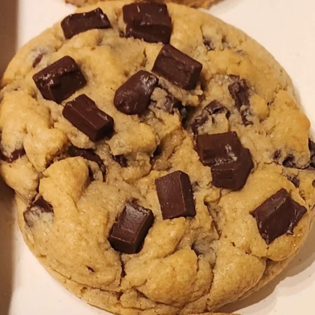 Chocolate Chip