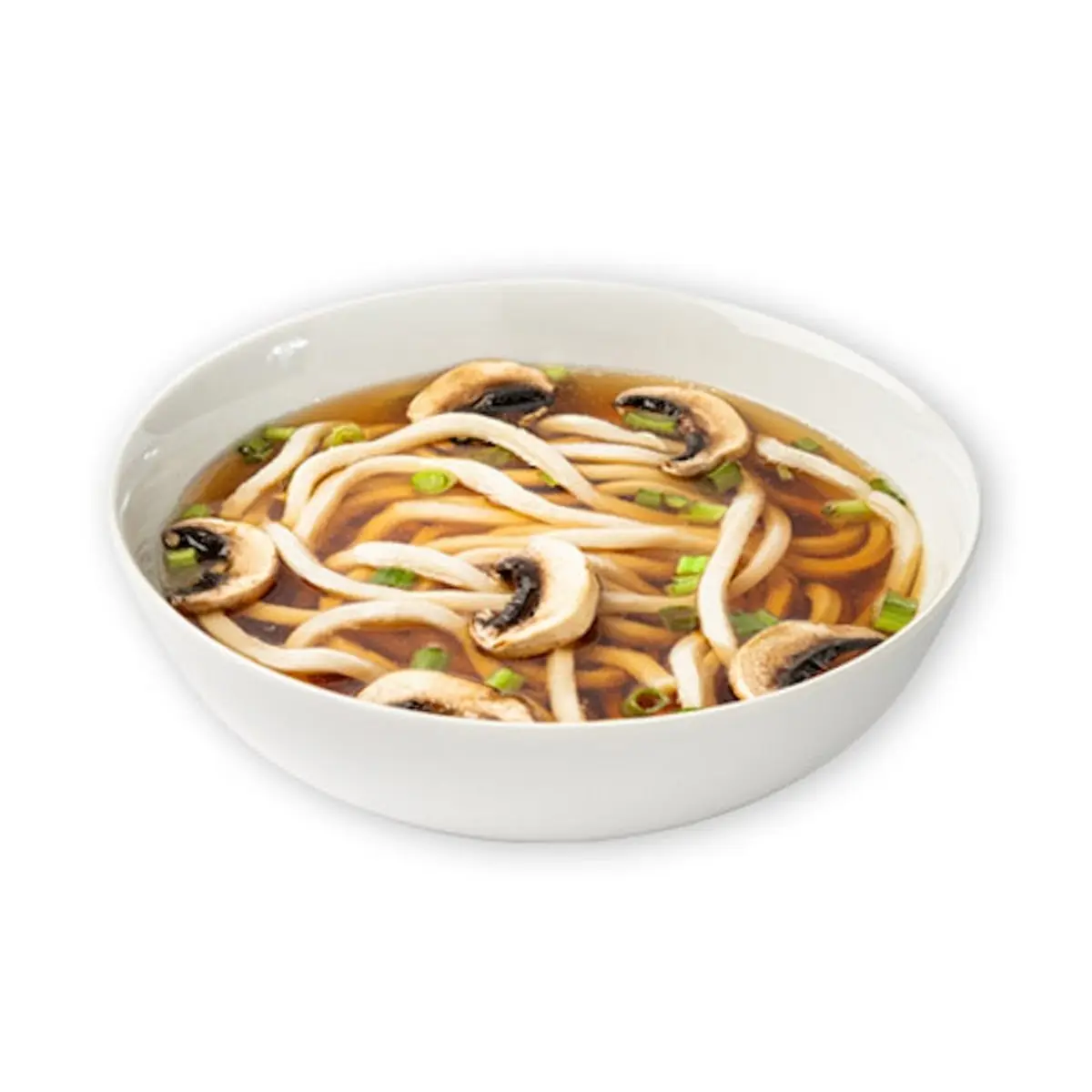 Udon Noodle Soup