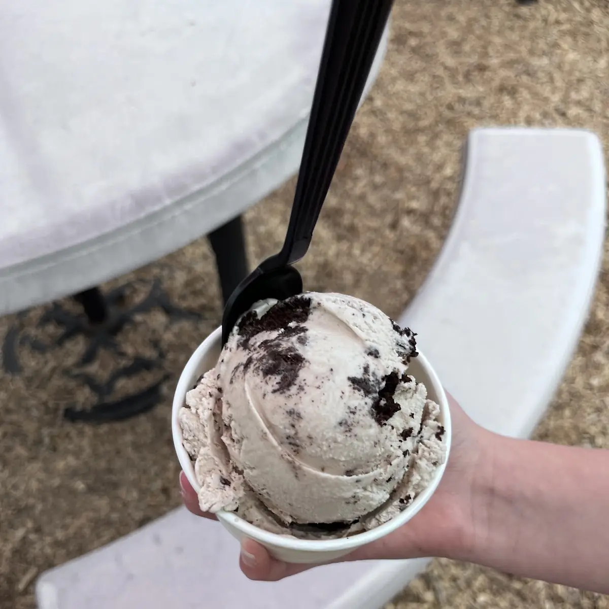 Cookies and Cream Ice Cream