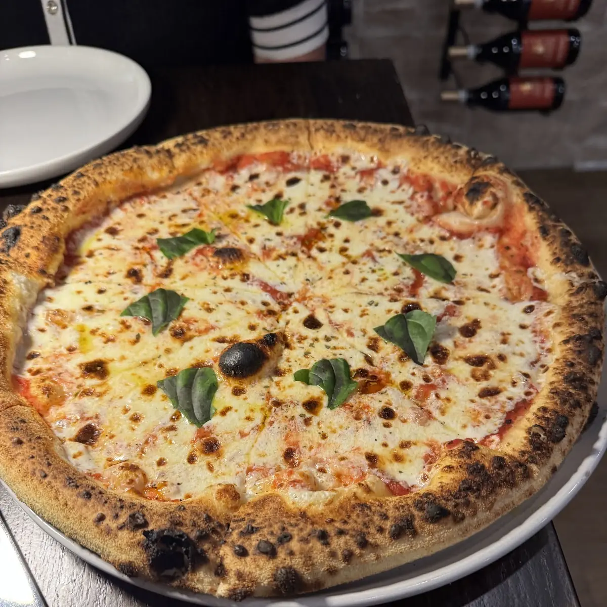 Pizza Margherita HH