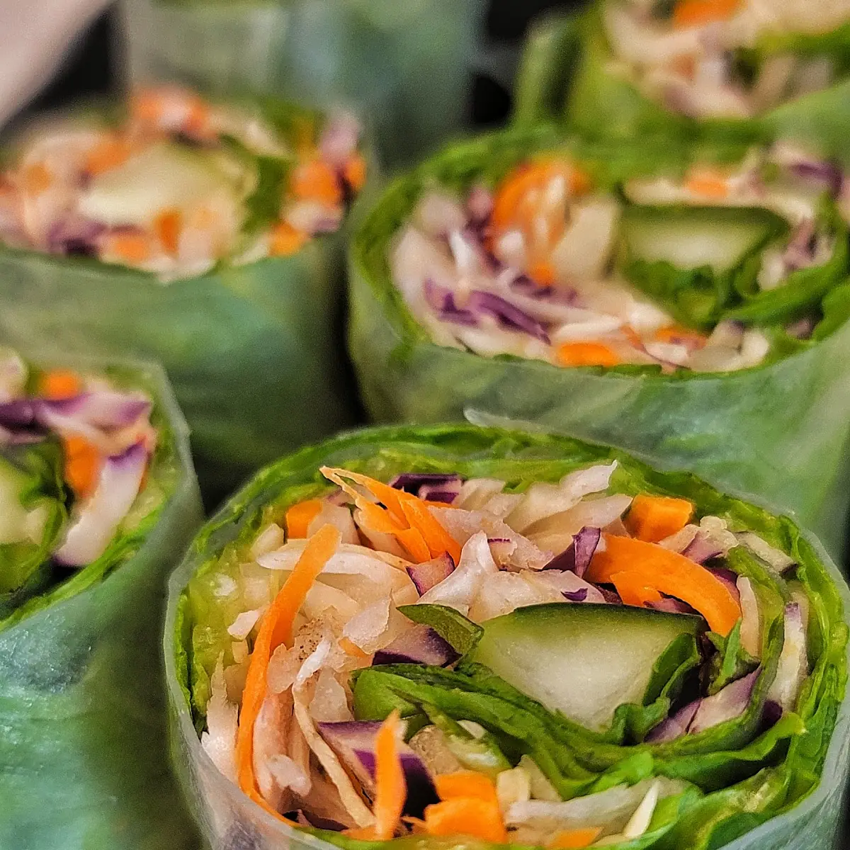 Fresh Spring Rolls