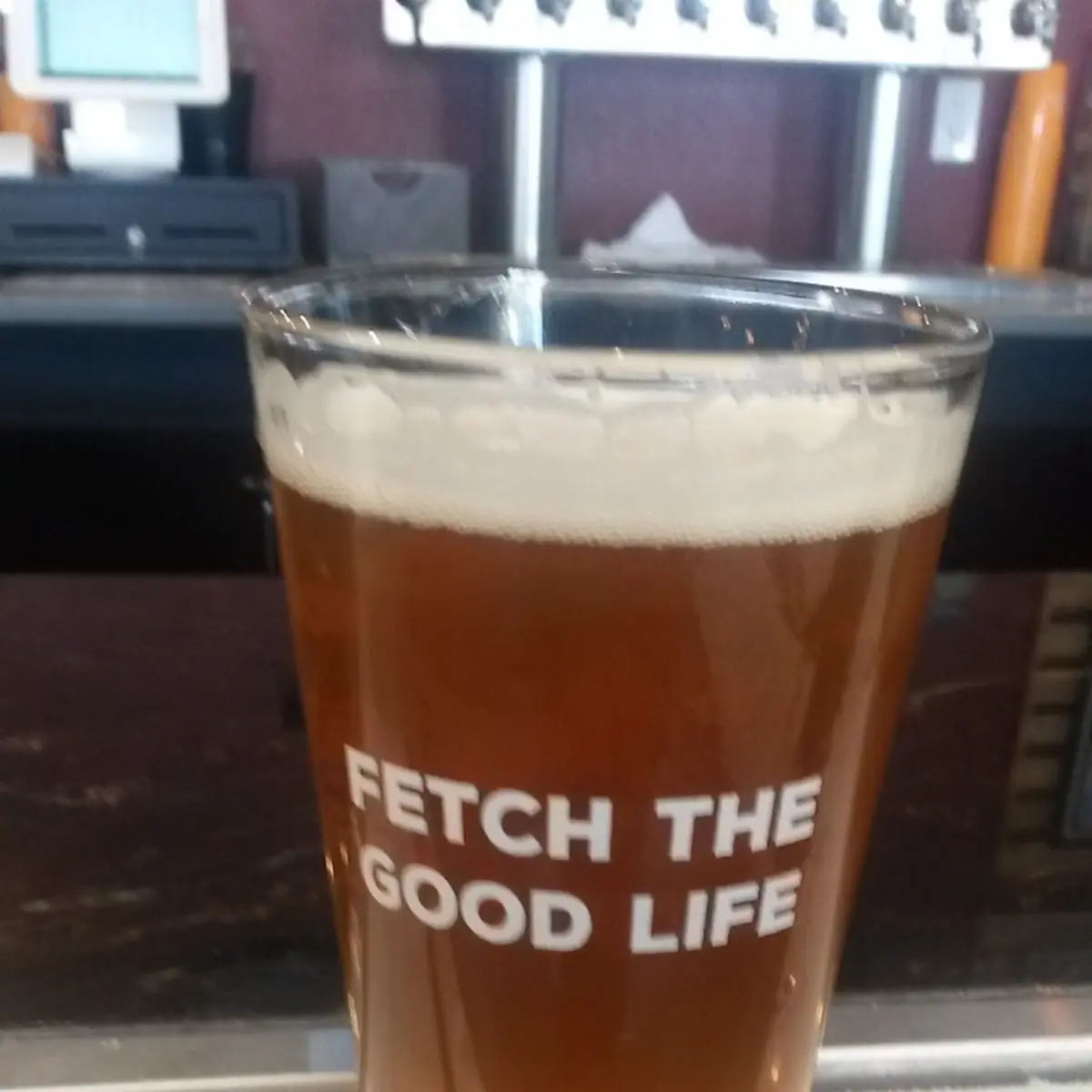 Pint of Craft Beer