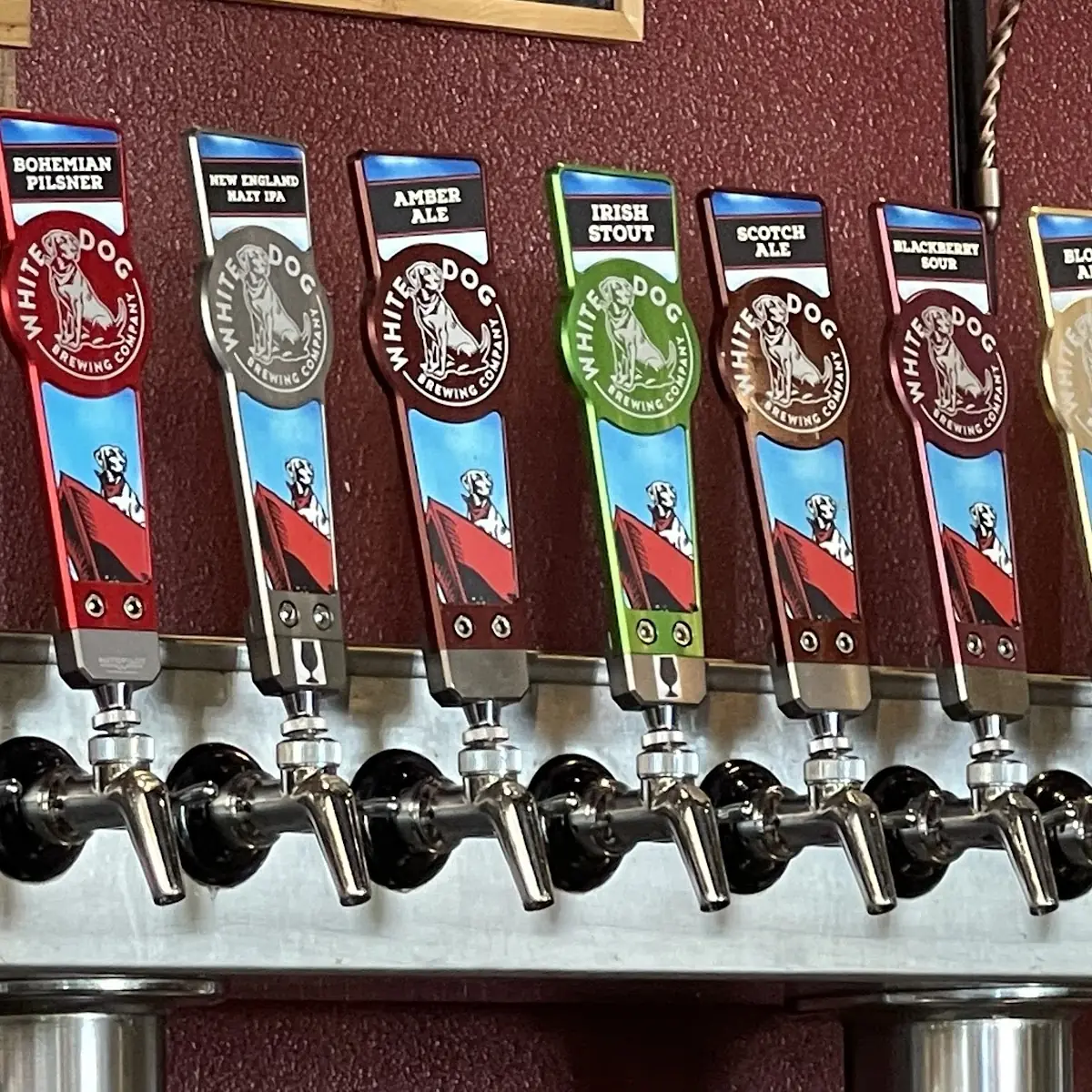 Selection of Beers on Tap