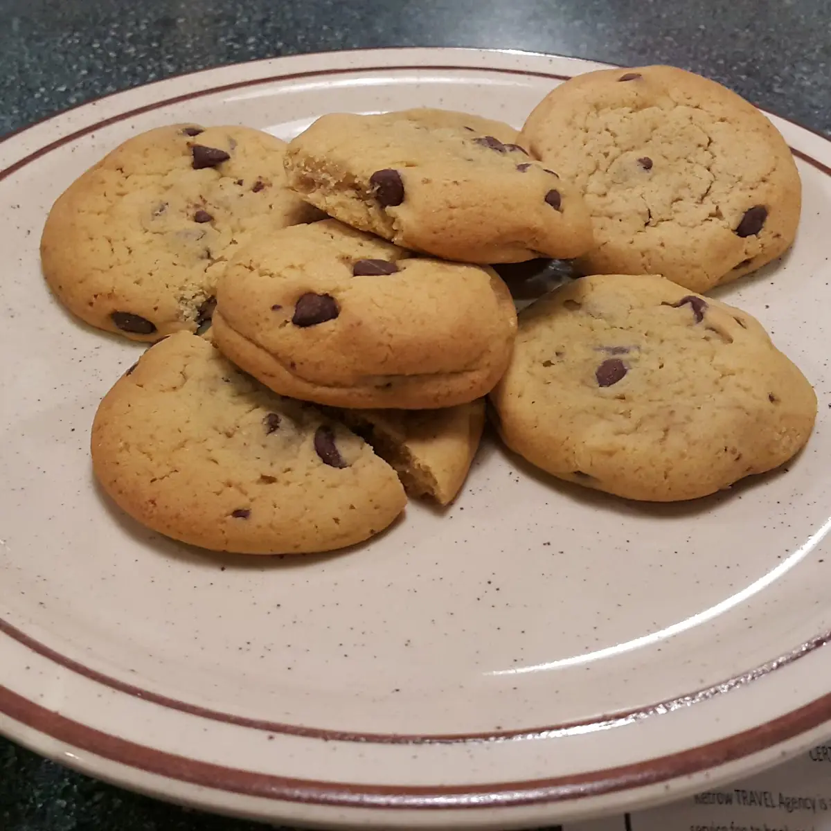 Sugar Free Chocolate Chip Cookies