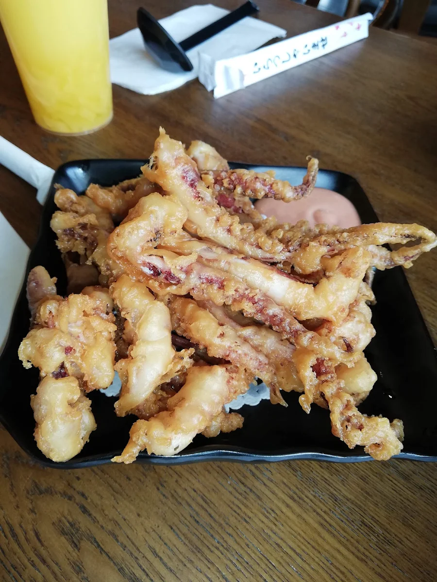 Deep Fried Squid, Yang's Braised Chicken Rice (Scarborough)