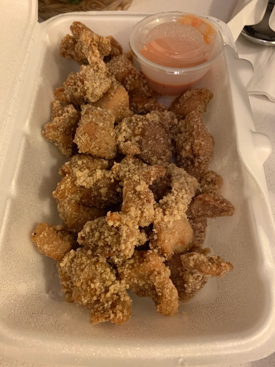 Popcorn Chicken, Yang's Braised Chicken Rice (Scarborough)