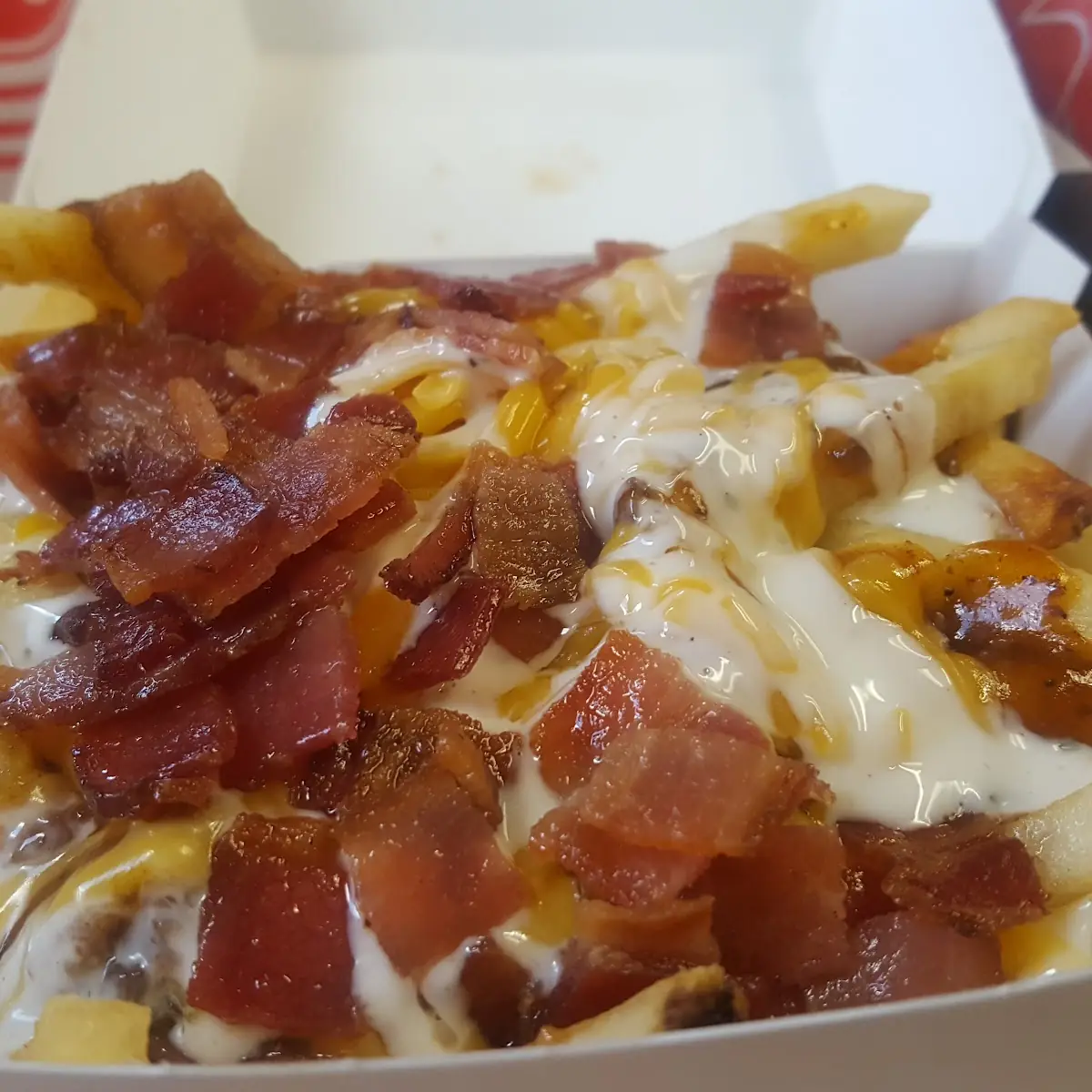 Bacon Ranch Fries