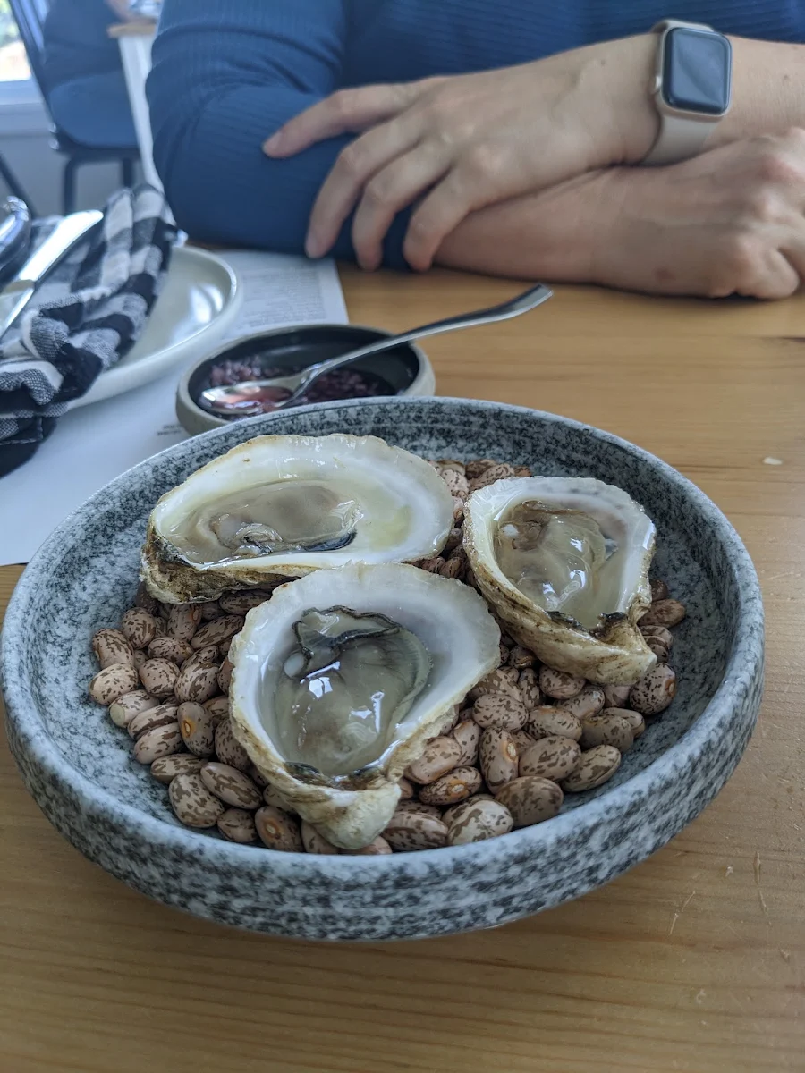 Oysters