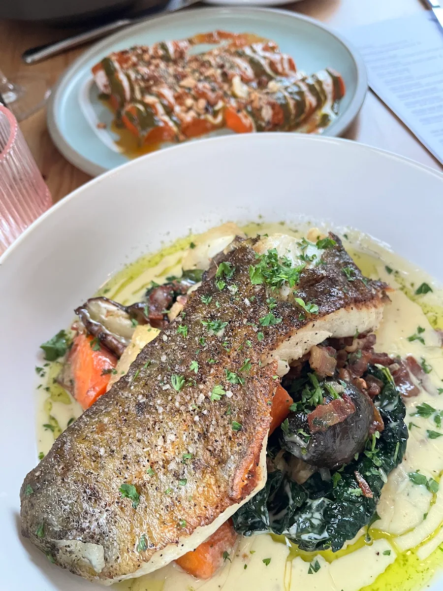 Salmon