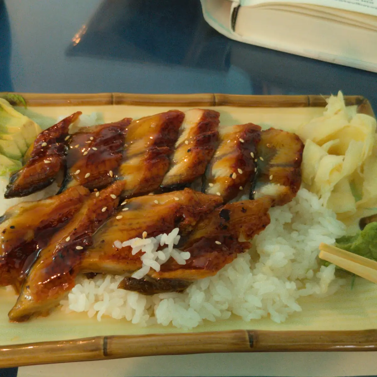 Unagi Eel